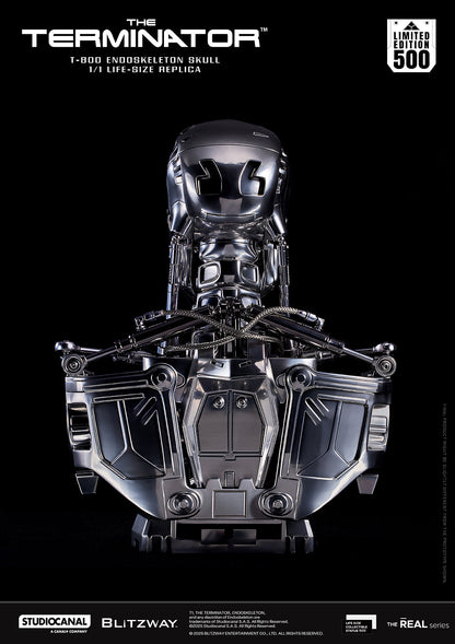 T-800 Endoskeleton Skull Pre-order Deposit