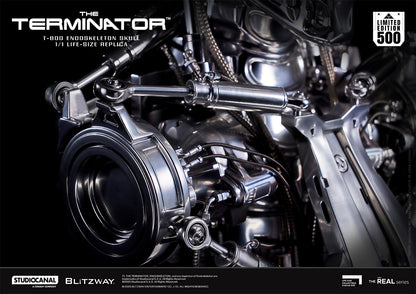T-800 Endoskeleton Skull Pre-order Deposit