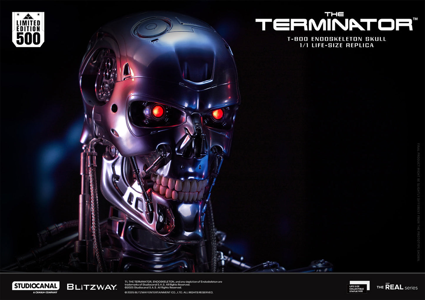 T-800 Endoskeleton Skull