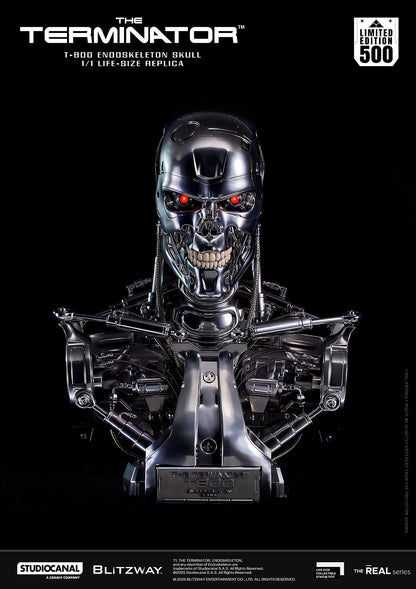 T-800 Endoskeleton Skull Pre-order Deposit