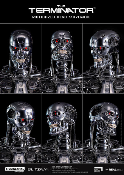 T-800 Endoskeleton Skull